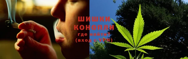 трава Алзамай