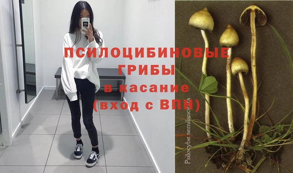 синтетический гашиш Алексеевка