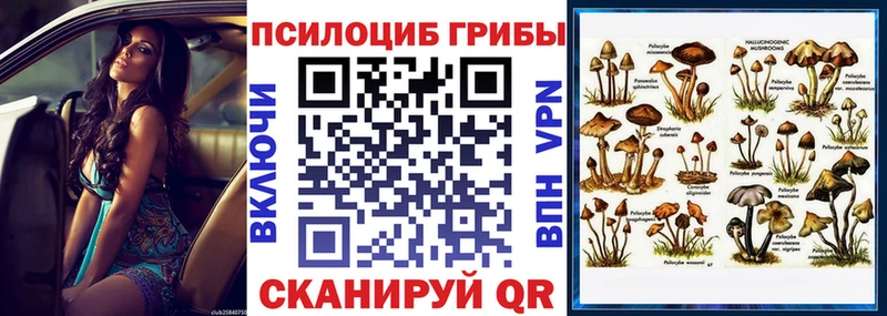 где можно купить наркотик  Комсомольск  Псилоцибиновые грибы Psilocybine cubensis 